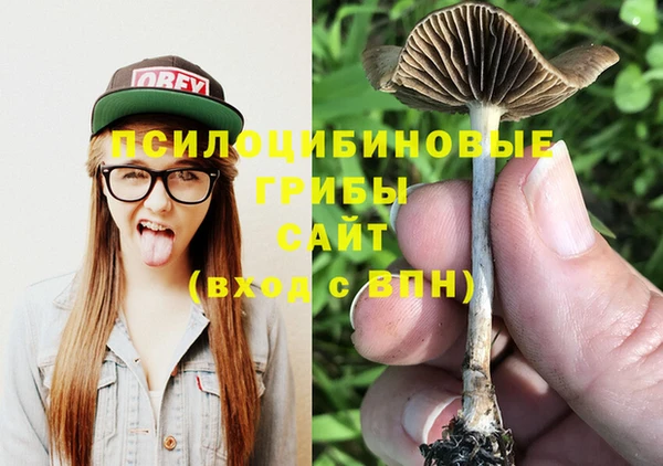 твердый Горнозаводск