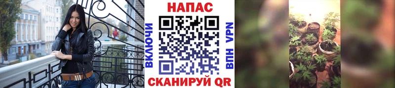 Бошки марихуана OG Kush  где можно купить наркотик  мега tor  Егорьевск 